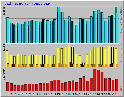 Daily usage for August 2024