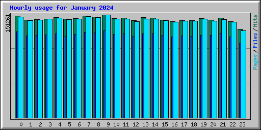 Hourly usage for January 2024