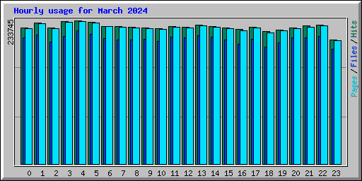 Hourly usage for March 2024