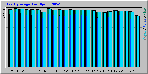 Hourly usage for April 2024