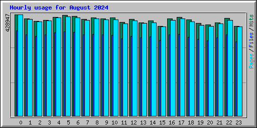 Hourly usage for August 2024